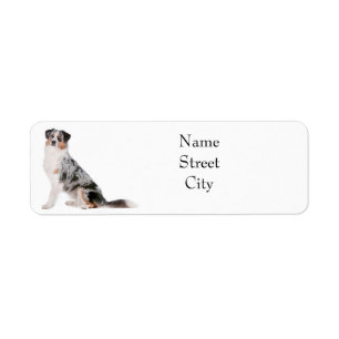 Australian Shepherd Return Address Label