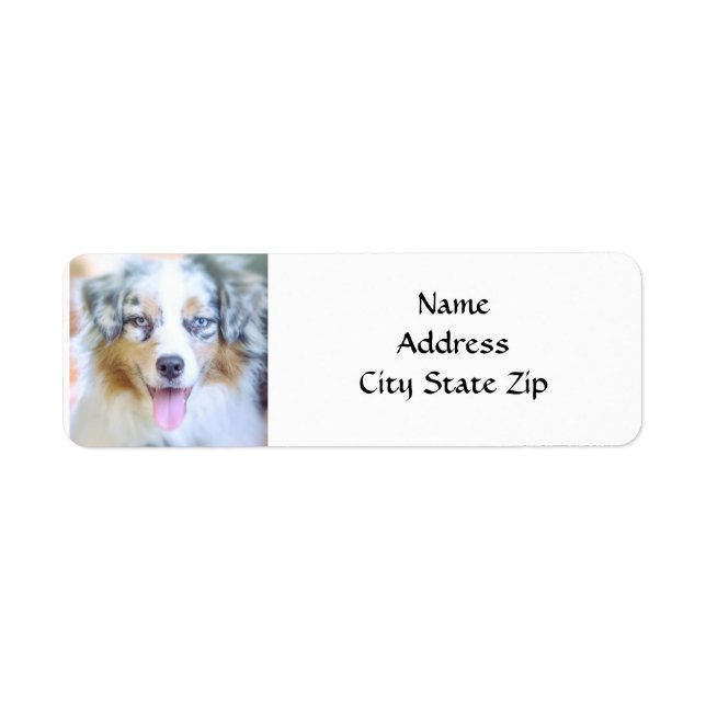 *AUSTRALIAN SHEPHERD* RETURN ADDRESS LABEL (Front)