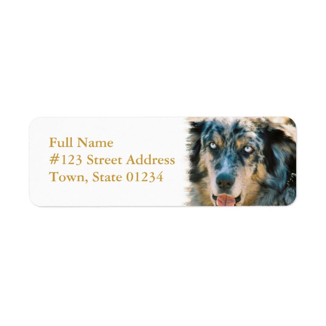 Australian Shepherd Return Address Label (Front)