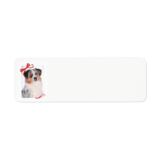 Australian Shepherd Return Address Labels (Front)