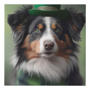 australian shepherd saint patrick faux canvas print