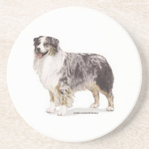 Australian Shepherd Sandstone Coaster
