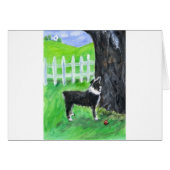 Australian Shepherd sees squirrel (Front Horizontal)