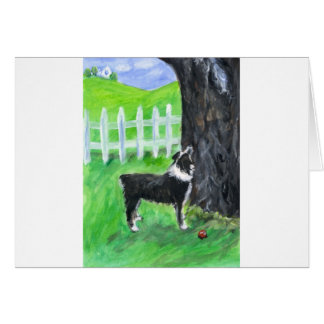 Australian Shepherd sees squirrel