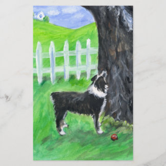 Australian Shepherd sees squirrel