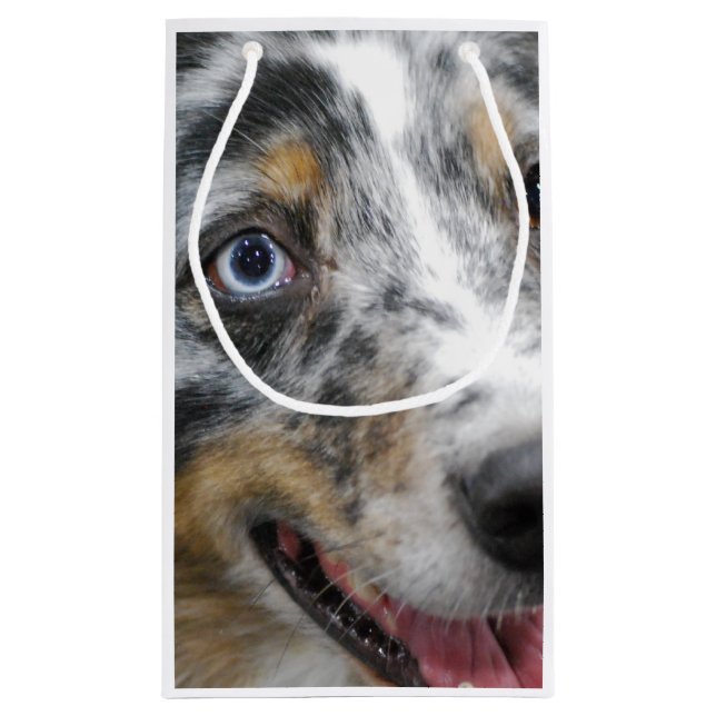 Australian Shepherd Small Gift Bag (Back)