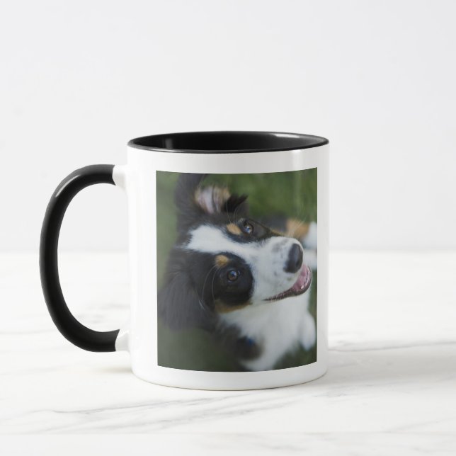 Australian Shepherd standing on hind legs Mug (Left)