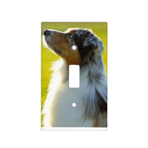 Australian Shepherd Switch Plate Cover