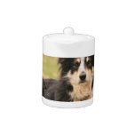 Australian Shepherd Teapot