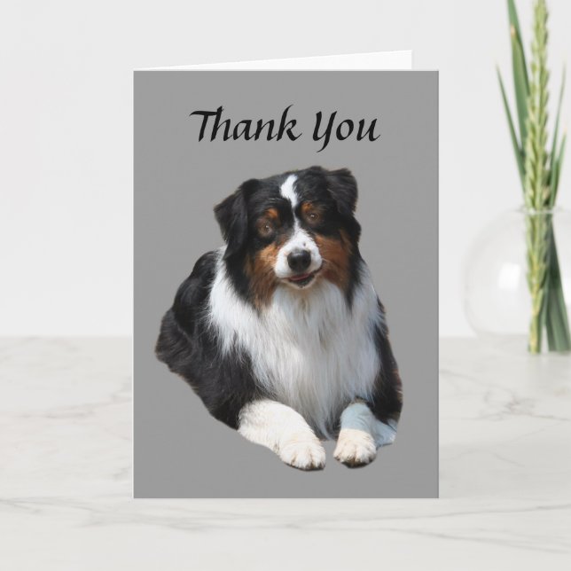 Australian Shepherd Thank You card (Front)