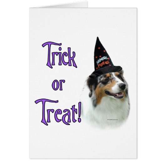 Australian Shepherd Trick Cards (Front)