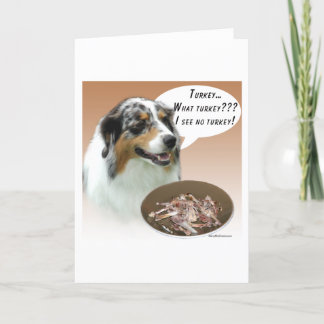 Australian Shepherd Turkey Holiday Card
