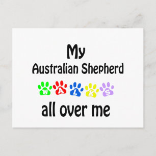 Australian Shepherd Walks Design Postcard