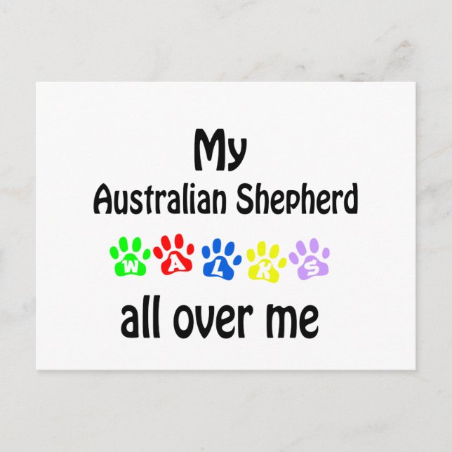 Australian Shepherd  Walks Design Postcard (Front)