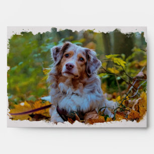 Australian Shepherd watercolor art Envelope
