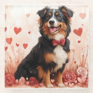 Australian Shepherd with Roses - Valentine's Day Glass Coaster
