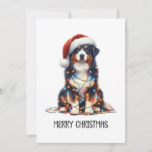 Australian Shepherd Wrapped in Christmas Light Holiday Card