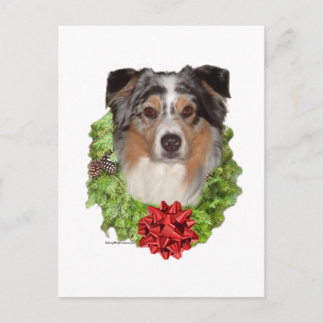 Australian Shepherd Wreath Postcard (Front)