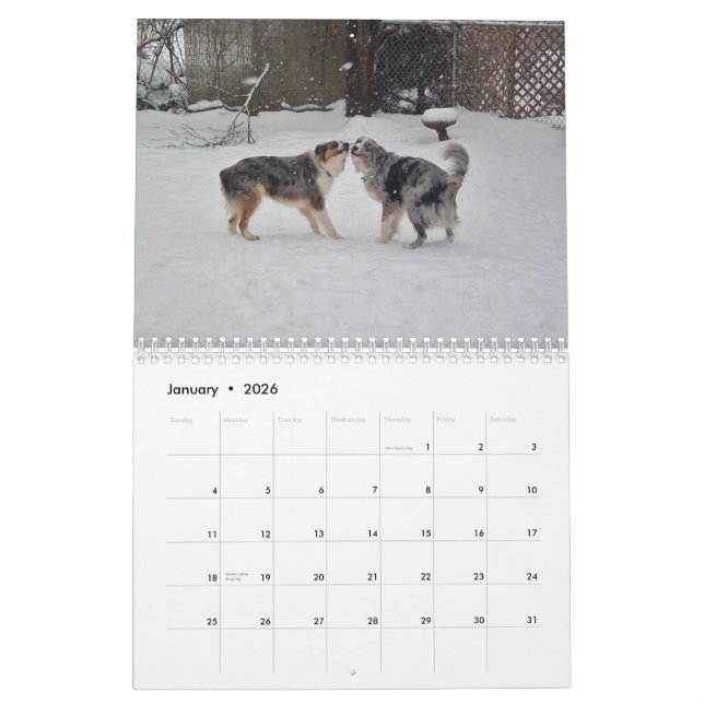 Australian Shepherds 2013 Calendar (Jan 2026)