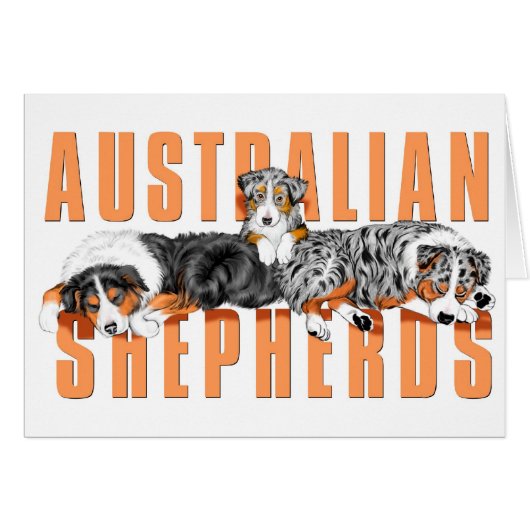 Australian Shepherds Card (Front Horizontal)