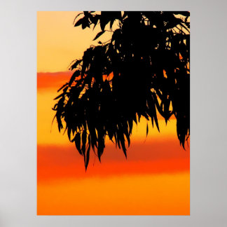Australian Silhouette Sunset Sky Print