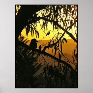 Australian Solstice Sunset Poster