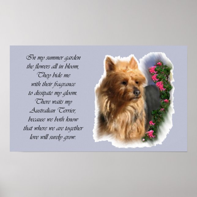 Australian Terrier Art Gifts Poster (Front)