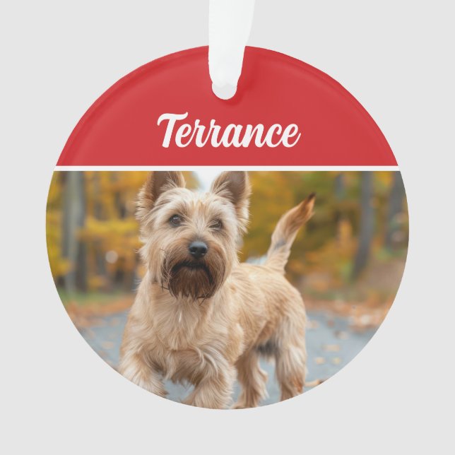 Australian Terrier Dog Holiday Christmas Photo Ornament (Front)