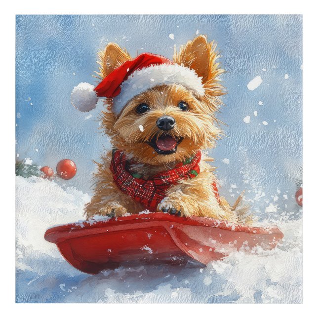 Australian Terrier in Sledge Let it Snow Christmas Acrylic Print (Front)