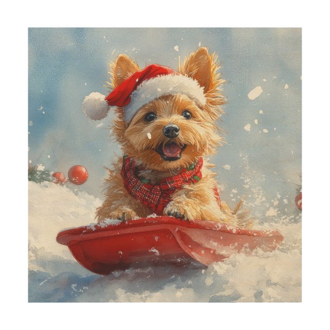 Australian Terrier in Sledge Let it Snow Christmas Wood Wall Art (Front)