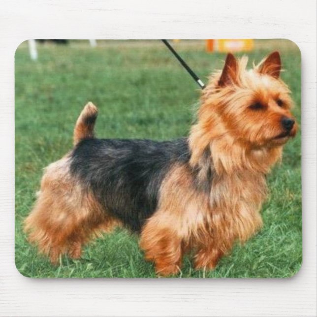 Australian Terrier Mousepad (Front)