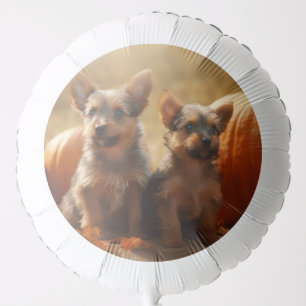 Australian Terrier Puppy Autumn Delight Pumpkin Balloon