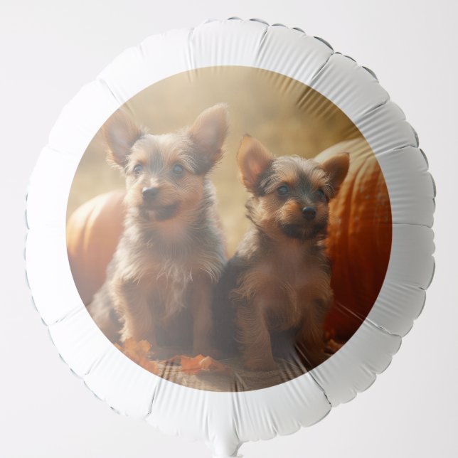 Australian Terrier Puppy Autumn Delight Pumpkin Balloon (Front)
