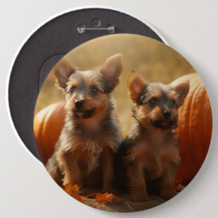 Australian Terrier Puppy Autumn Delight Pumpkin Button