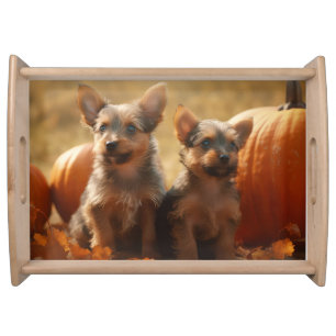 Australian Terrier Puppy Autumn Delight Pumpkin Serving Tray