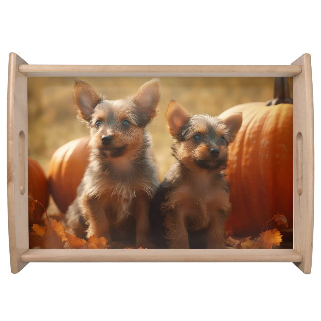 Australian Terrier Puppy Autumn Delight Pumpkin Serving Tray (Front)