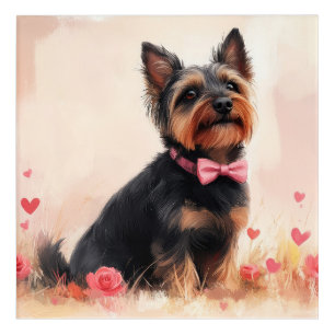 Australian Terrier with Roses - Valentine's Day Acrylic Print
