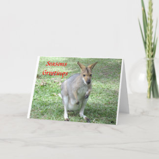 Australian themed Christmas & Holiday cards