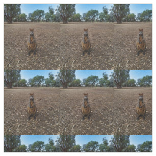 Australian Wallaby Holding A Stick,  Fabric
