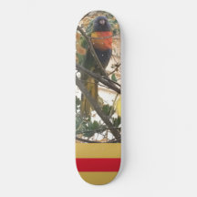 Australian Wattle Rainbow Lorikeet Cockatoo Bird