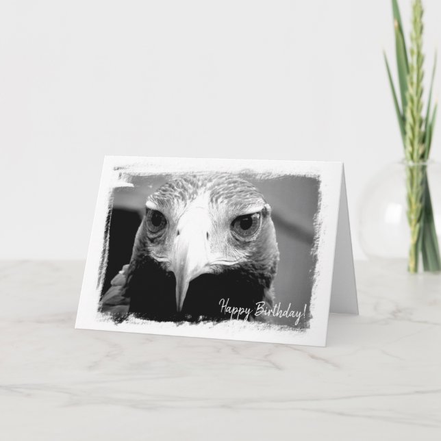 Australian Wedged Tailed Eagle Greeting Card (Front)