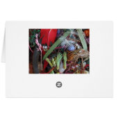 Australian wildflowers cards (Back Horizontal)