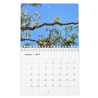 AUSTRALIAN WILDLIFE CALENDAR