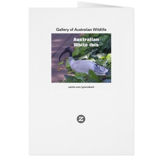 Australian Wildlife Card (Back)