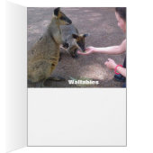 Australian Wildlife Card (Inside (Right))