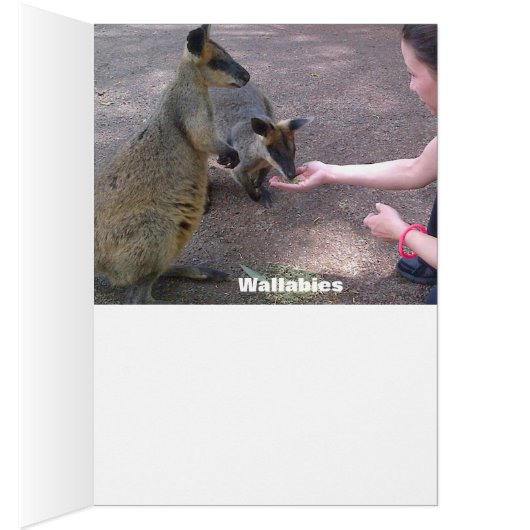 Australian Wildlife Card (Inside (Right))