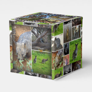 Australian Wildlife Collection, Favor Boxes