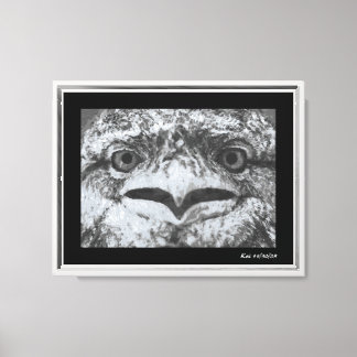 Australian Wildlife, Nature's Curmudgeon, Animal Canvas Print