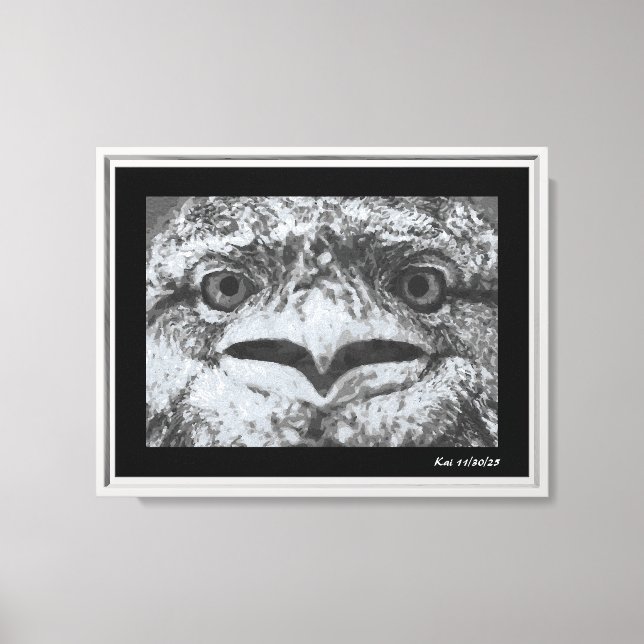 Australian Wildlife, Nature's Curmudgeon, Animal Canvas Print (Front)