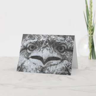 Australian Wildlife, Nature's Curmudgeon, Animal Card